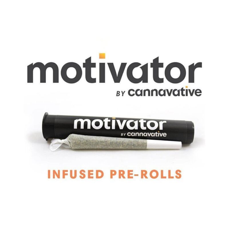 Triangle Mints (1g) Infused Pre Roll | Cannavative