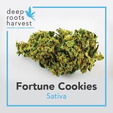 Fortune Cookies | Deep Roots Harvest