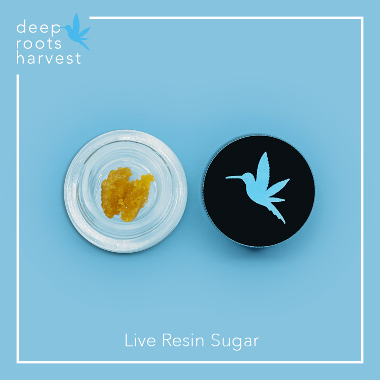 Super Lemon Haze Live Resin Sugar | Deep Roots Harvest