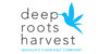 Dog Valley Haze (3pk x 1g) Pre Rolls | Deep Roots Harvest